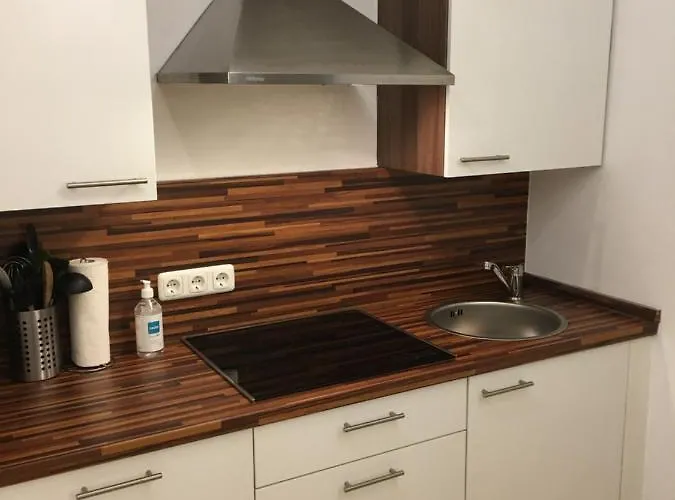 „die 3 Am Rhein“ Appartement